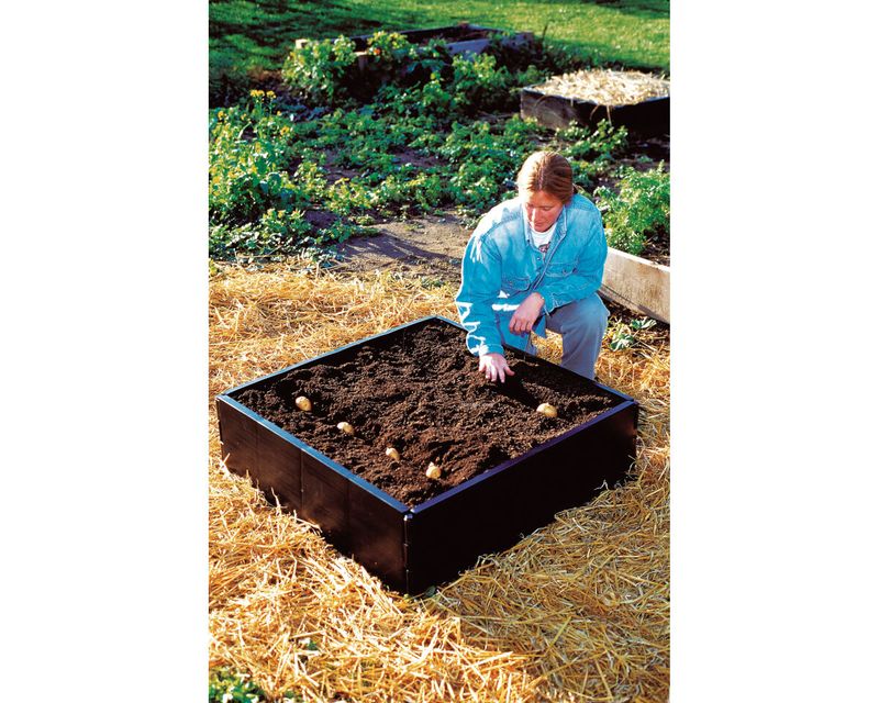 Grow Bed Garland 230 L – Orto rialzato 98 × 98 × 25 cm