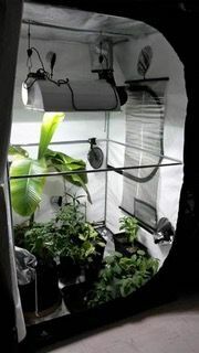 SOLEA - BOOSTER RISCALDATORE AVVOLGIBILE PER GROW BOX 500W