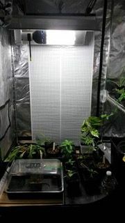 SOLEA - BOOSTER RISCALDATORE AVVOLGIBILE PER GROW BOX 500W