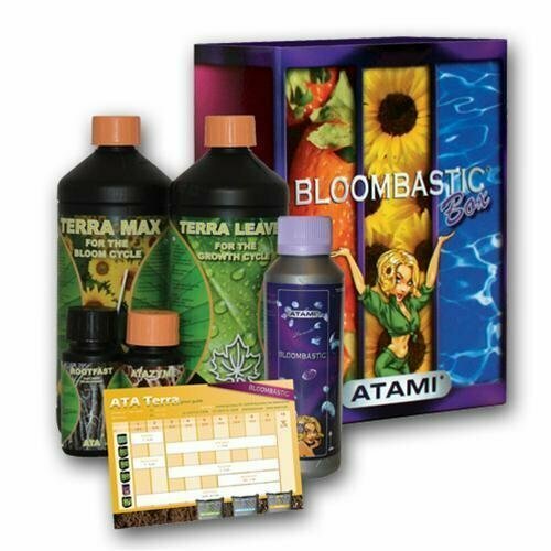 ATA TERRA BLOOMBASTIC BOX