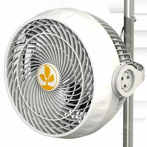 SECRET JARDIN - MONKEY FAN 30W