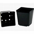 VASO QUADRATO IN PLASTICA TERMOFORMATA 8X8X8 - 0.35L