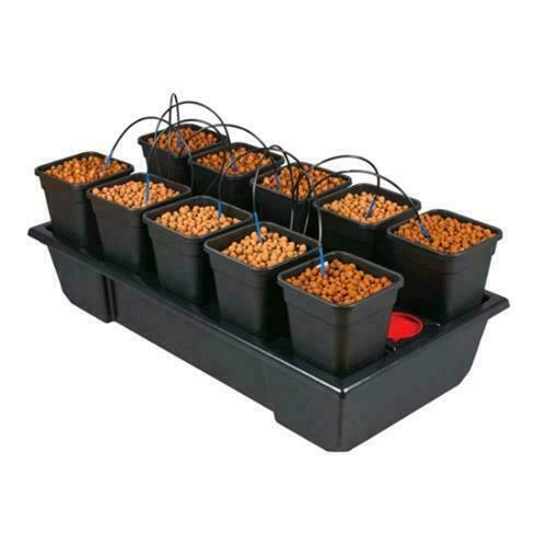 WILMA GROWSYSTEM 10 SMALL WIDE (10X6.5L) 120X60X20CM - KT510AW/AW510V2