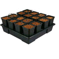 WILMA GROW SYSTEM 16 XXL (16X11L) 115X115X20CM KT416AWE