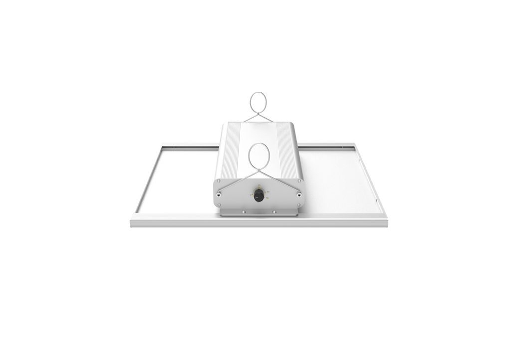 ORTOLED - QUANTUM BOARD | 240W