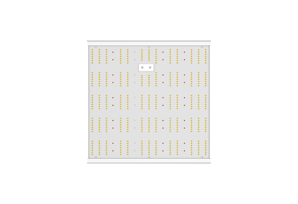 ORTOLED - QUANTUM BOARD | 240W