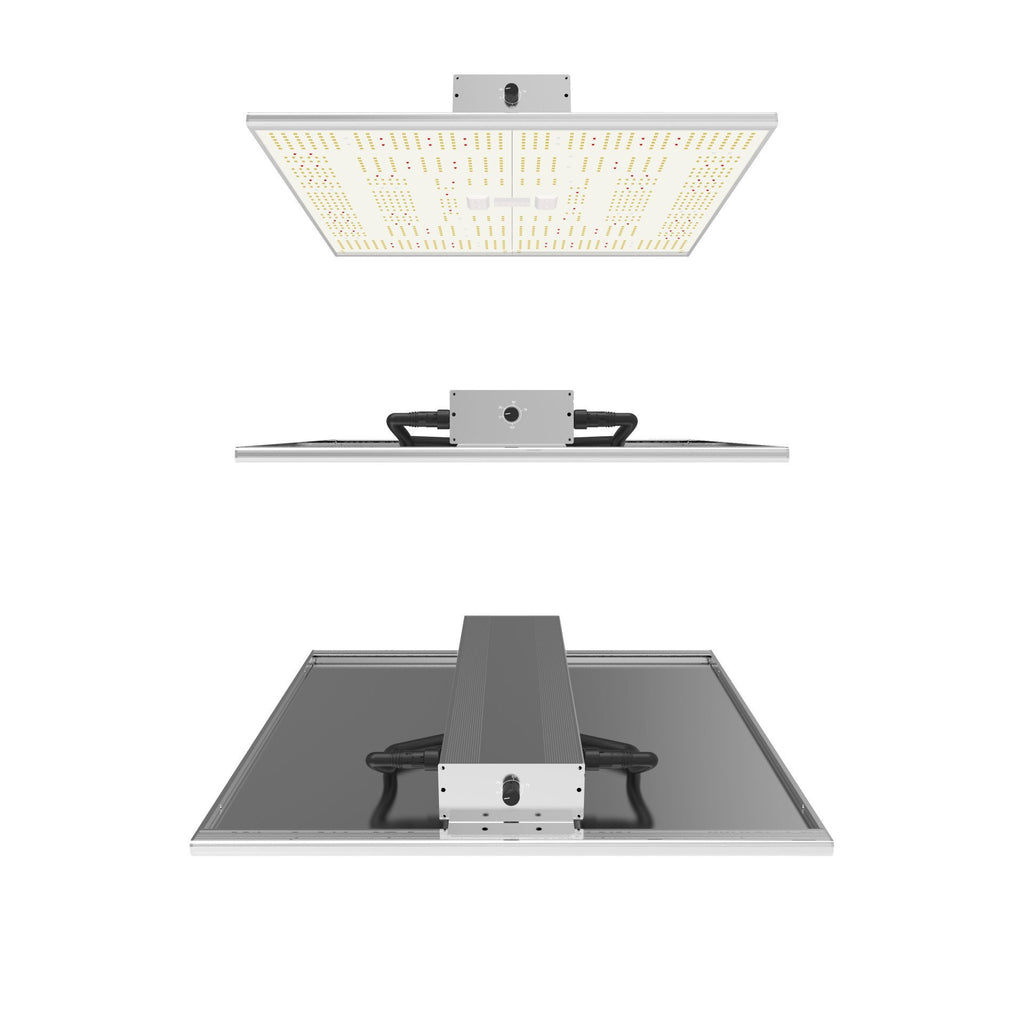 ORTOLED - QUANTUM BOARD | 320W