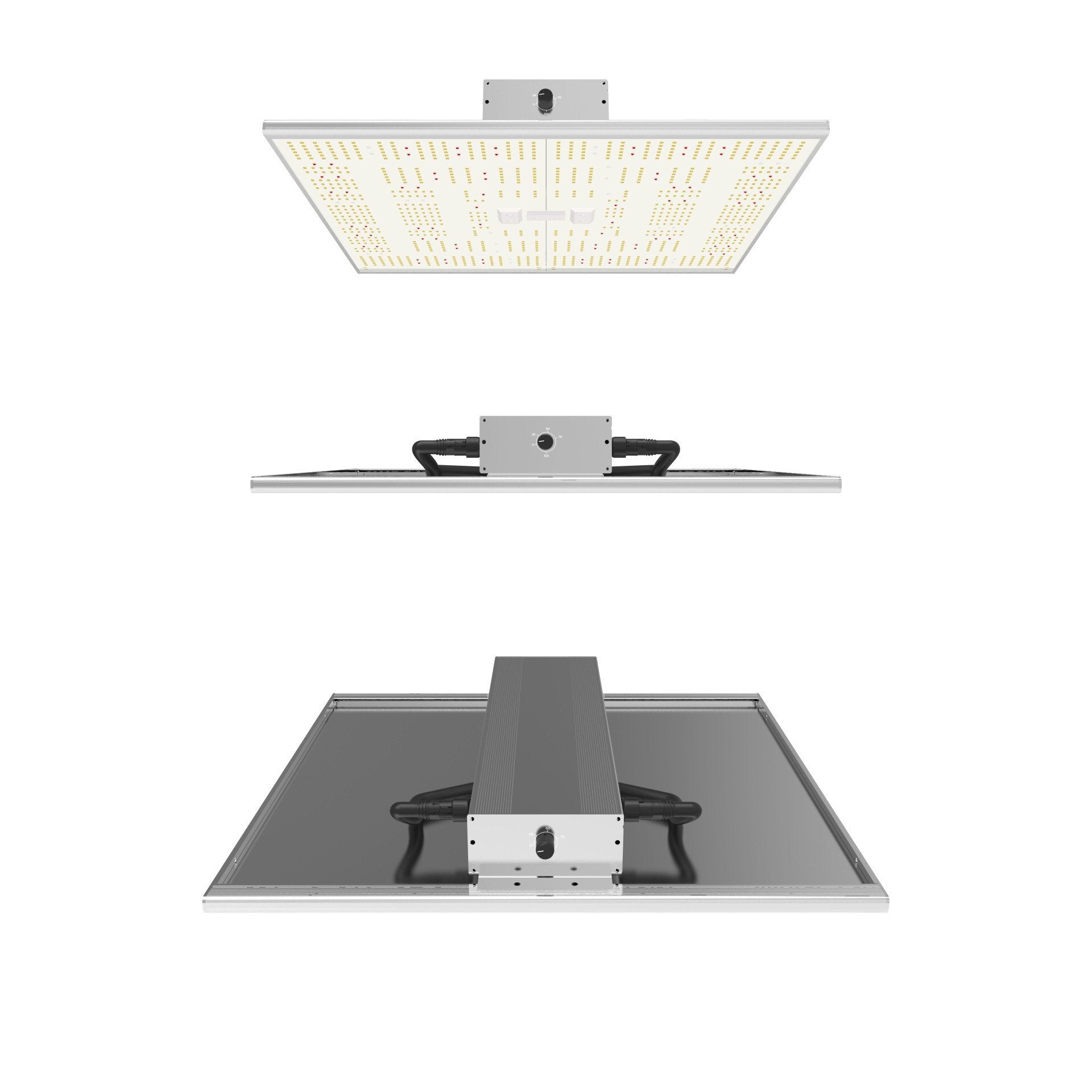 ORTOLED - QUANTUM BOARD | 320W