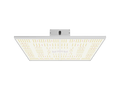 ORTOLED - QUANTUM BOARD | 320W