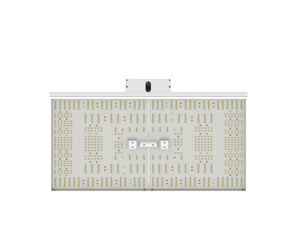 ORTOLED - QUANTUM BOARD | 320W