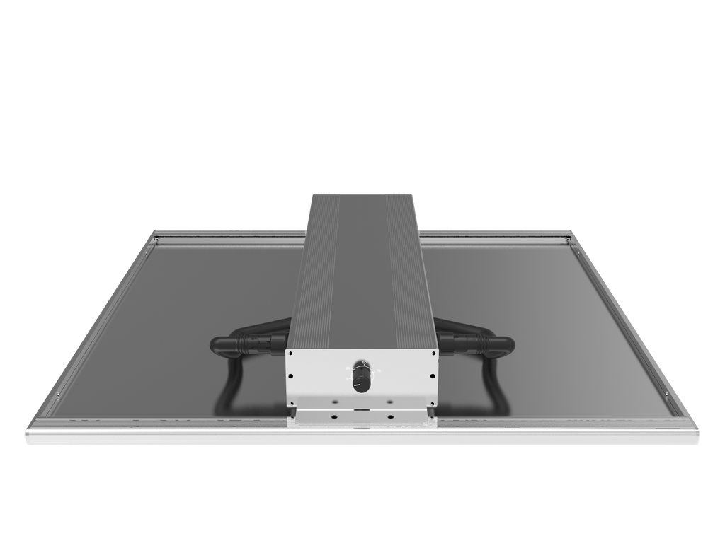 ORTOLED - QUANTUM BOARD | 320W