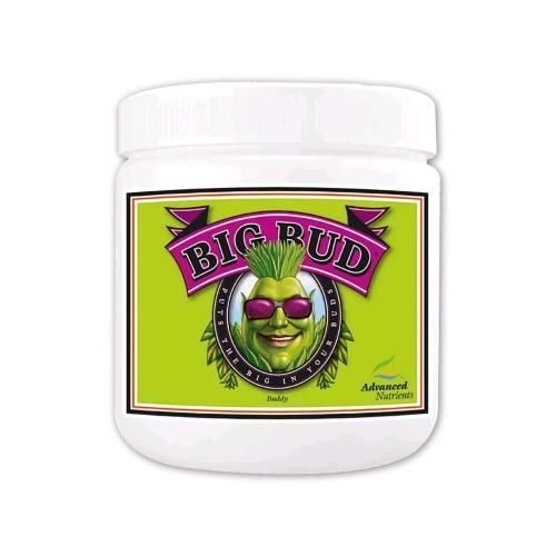 ADVANCED NUTRIENTS - BIG BUD POWDER IN POLVERE