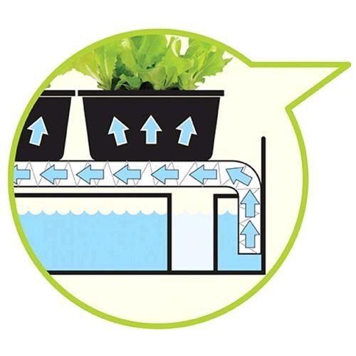 GROW LIGHT GARDEN 11W - MINI ORTO INDOOR