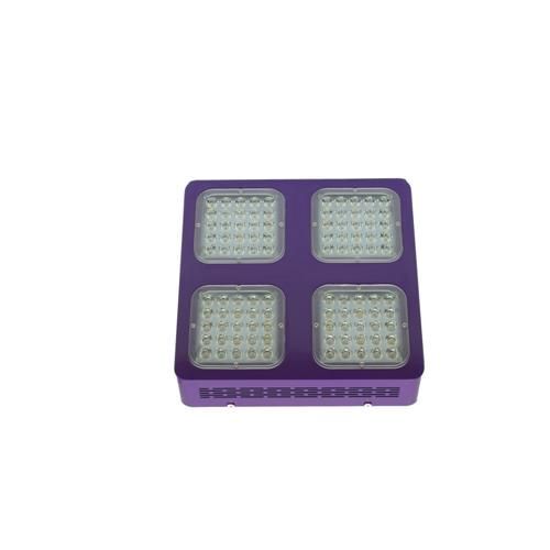 CULTILITE - LED 300W - CLASSIC LINE