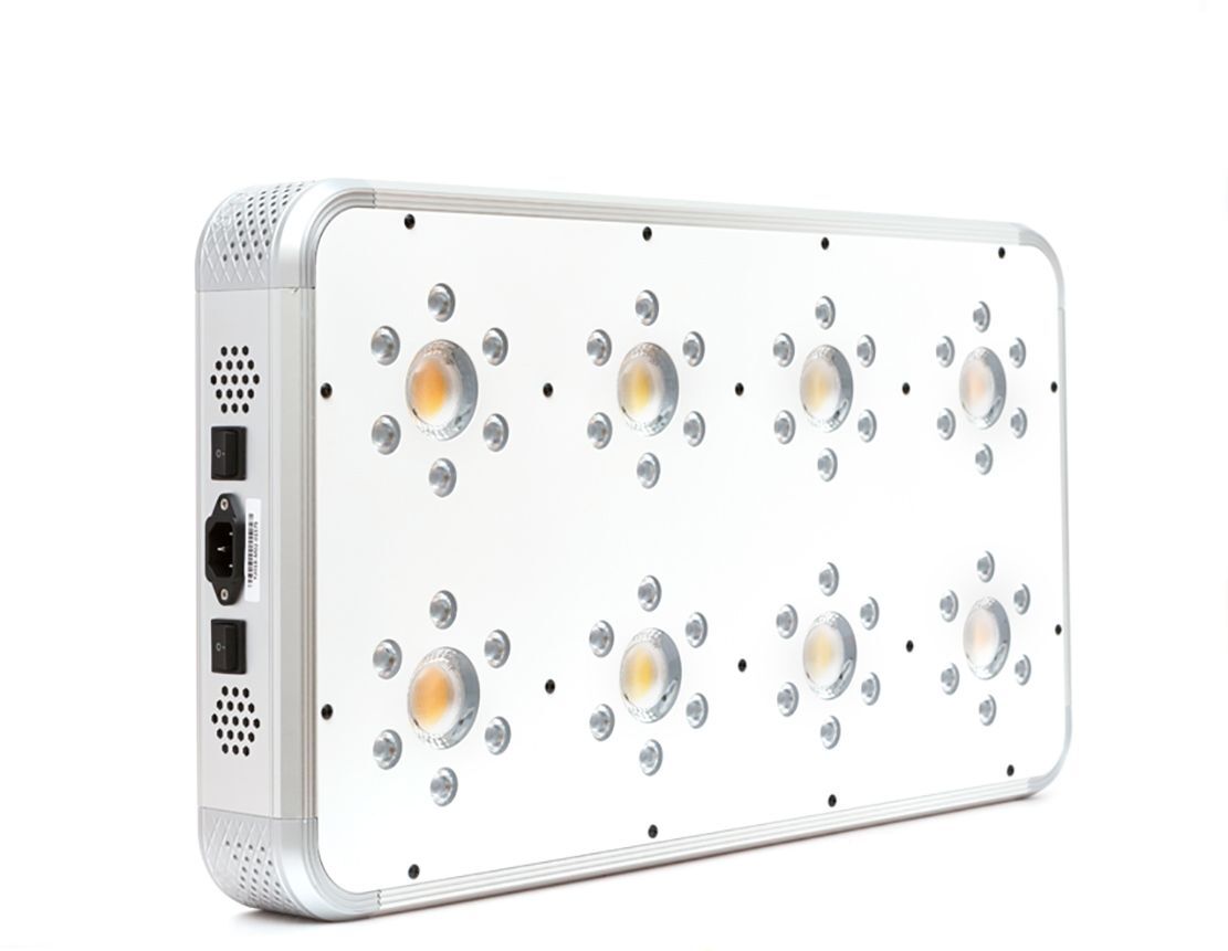 ORTOLED - TITANIUM 480W