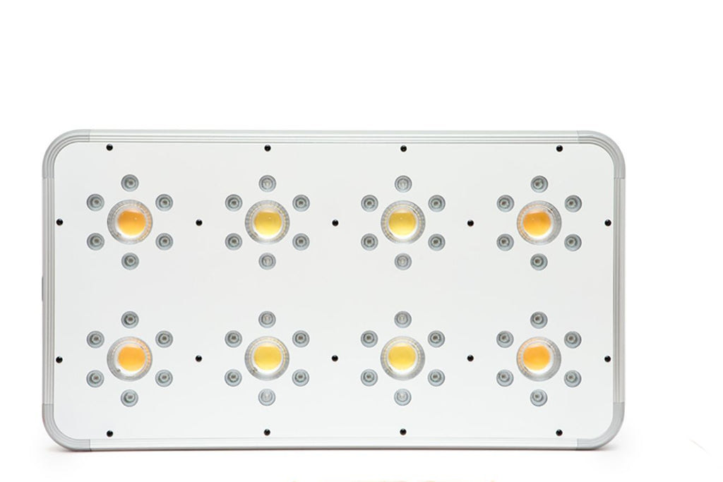 ORTOLED - TITANIUM 480W