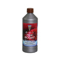 HESI - BOOST 1L