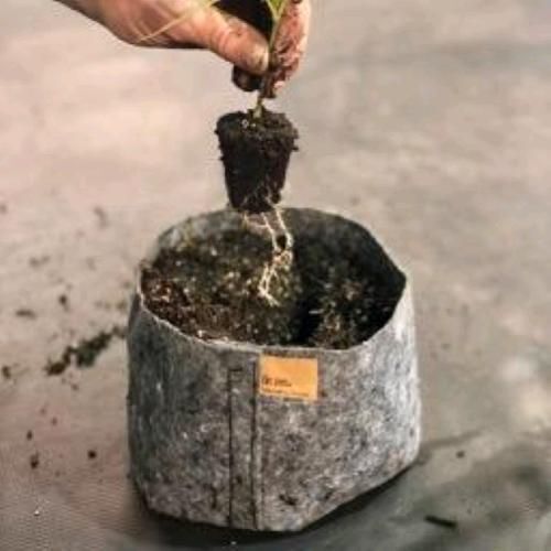 ROOT POUCH - VASO IN TESSUTO CHARCOAL - 12L