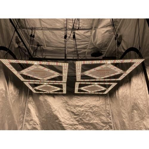 PHYTOLITE - QUADRA MODULAR GROW 200