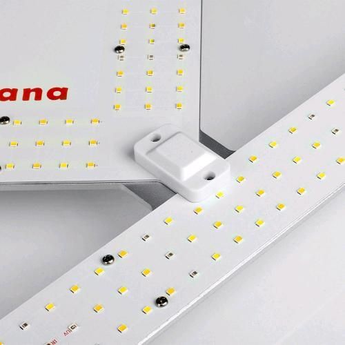 PHYTOLITE - QUADRA MODULAR GROW 200