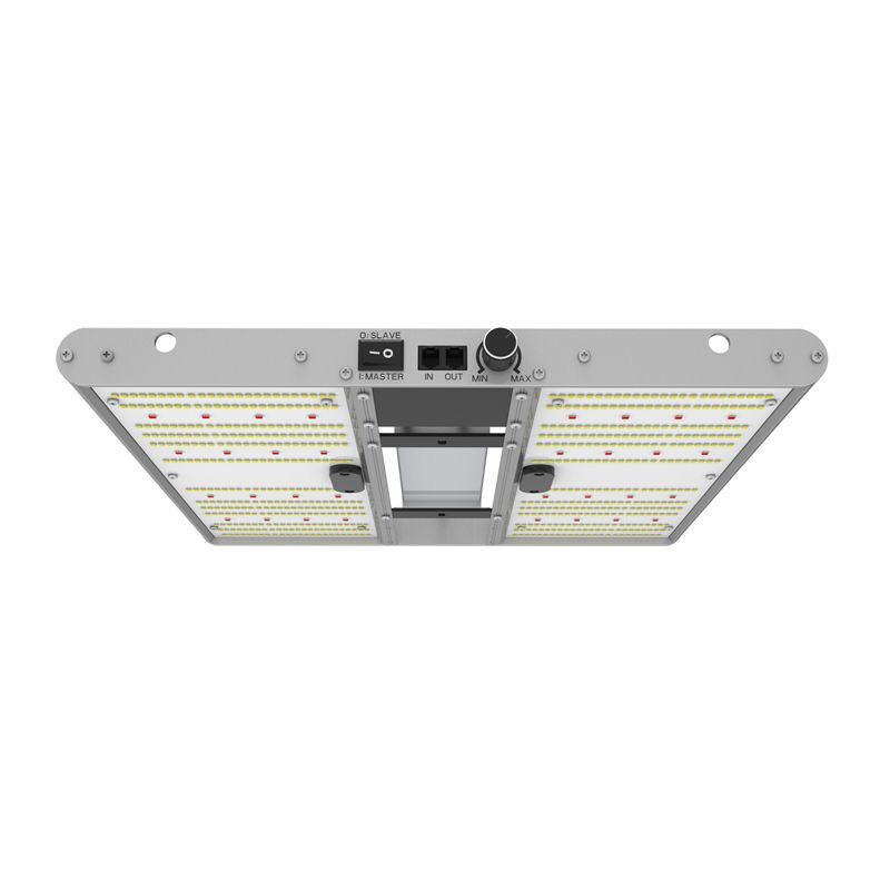 ORTOLED - QUANTUM BOARD EVO SAMSUNG (2.7 umol/J) 240W