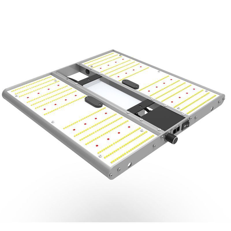 ORTOLED - QUANTUM BOARD EVO SAMSUNG (2.7 umol/J) 320W