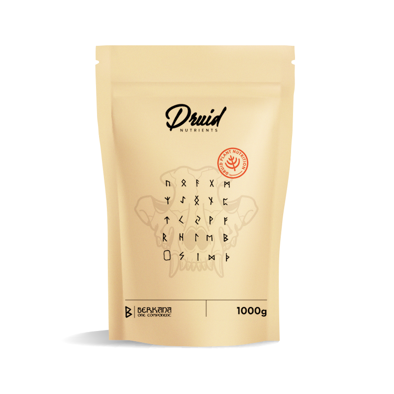 JERA ENHANCER (100 GR)