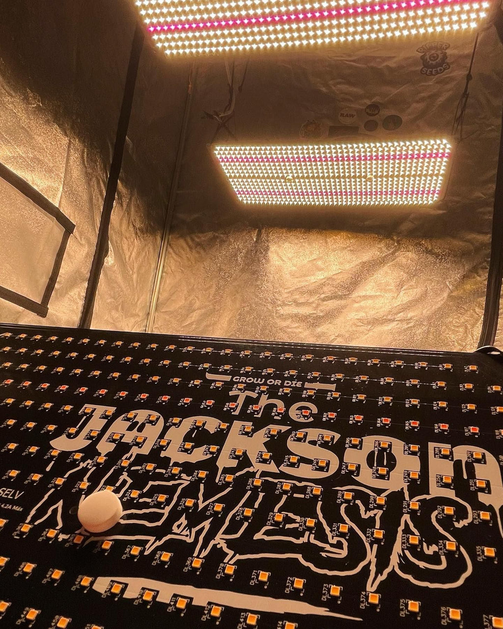 THE JUNGLE - THE JACKSON NEMESIS - DIMMABLE 200W