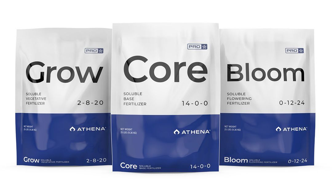 ATHENA - PRO BLOOM