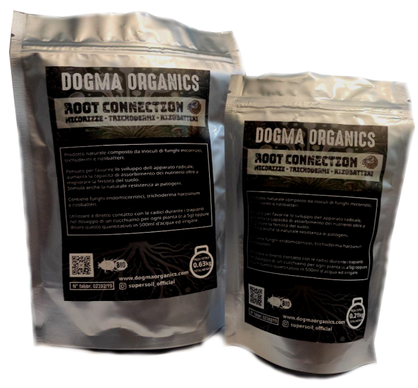 Dogma Root connection 2,48 Kg