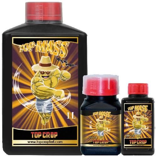 TOP CROP - TOP MASS