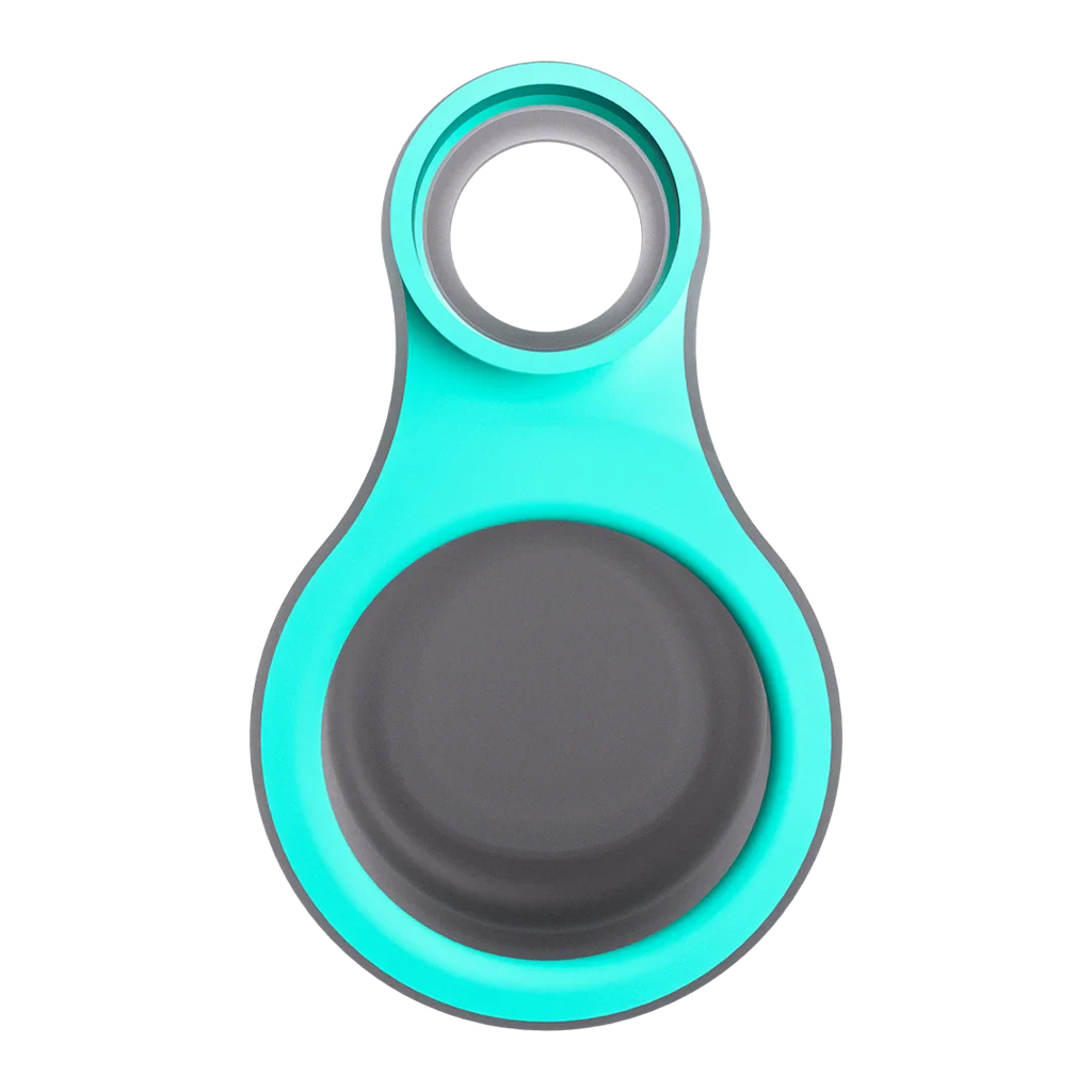Focus V CARTA SPORT Connect Teal – dettaglio 2