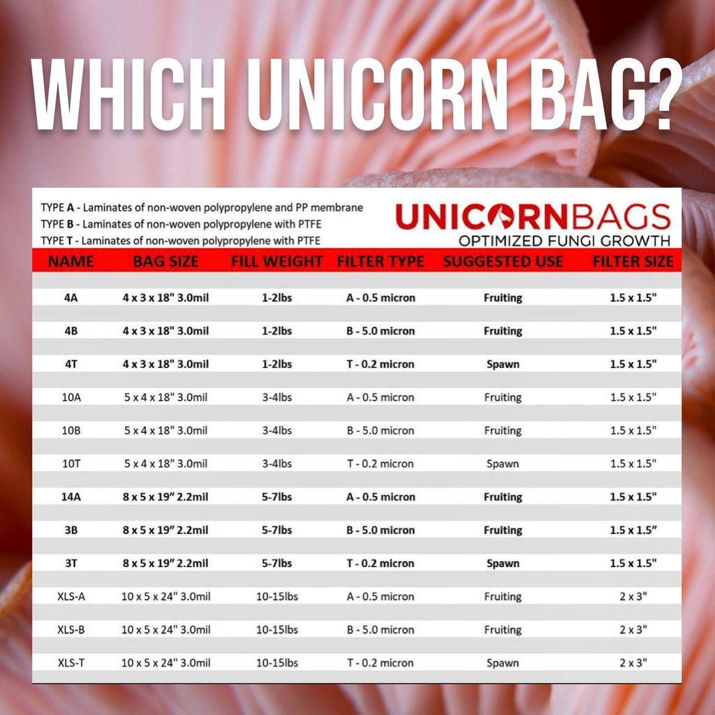 Unicorn Bags 3B borsa per funghi con filtro 5 micron